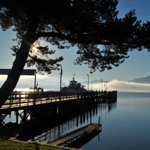 nebel am chiemsee 116